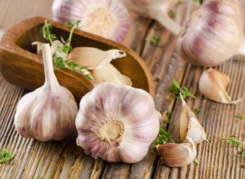 تصویر 1 از سیر محلی شمال با تندی بالا و خاصیت فراوان